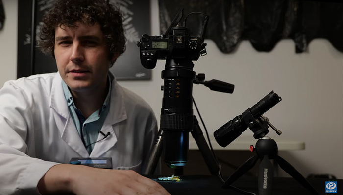 How Diffraction Robs Your Photos of Sharpness