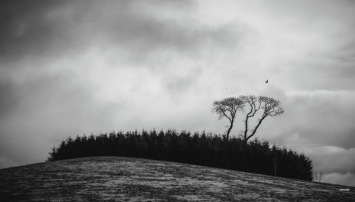 Landscape Photography Doesn't Always Have to Be Epic