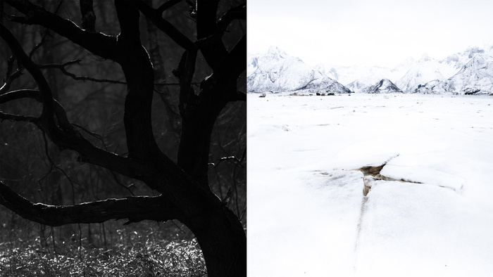 A Closer Look at High Key and Low Key Photography