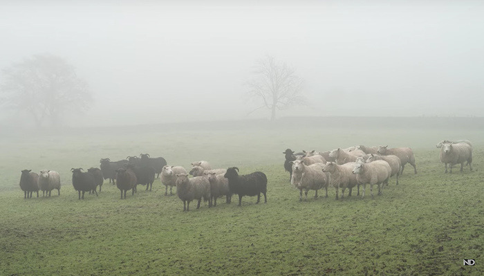 Are You Overlooking Superzoom Lenses for Landscape Photography?