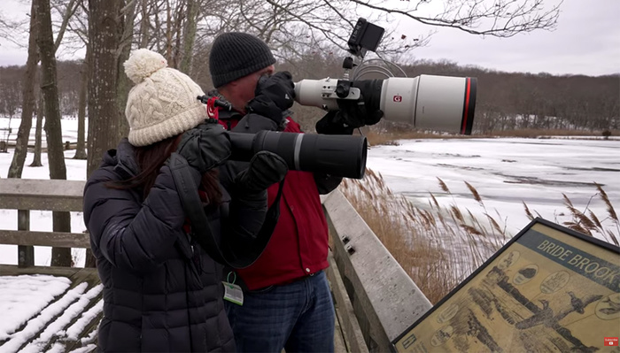 Comparing the Canon R5 With the Sony a1 for Sports, Portraits and Wildlife (and What About Nikon?)