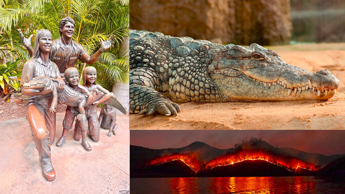 Crikey! Steve Irwin's Son Wins Prestigious Photography Award