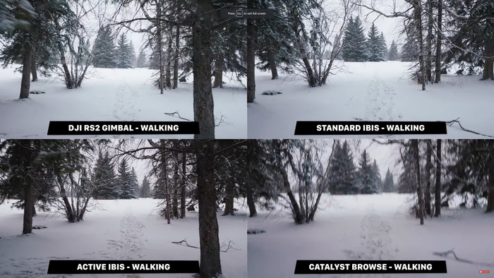 Do You Really Need a Gimbal? Sony IBIS Versus DJI RS2 Gimbal