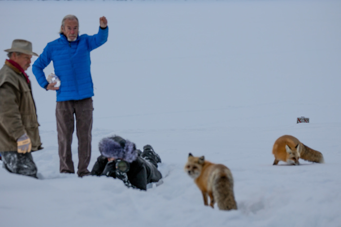 Foxes, Whistleblowing, Cancel Culture, and David Yarrow