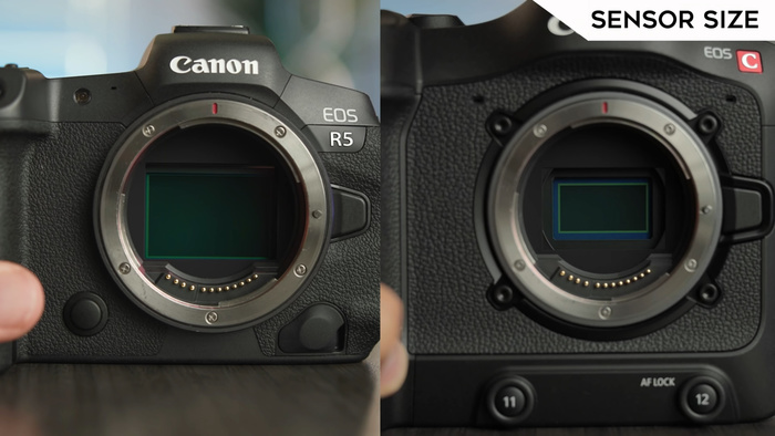 Canon R5 Versus Canon C70: Which Should You Buy for Video?