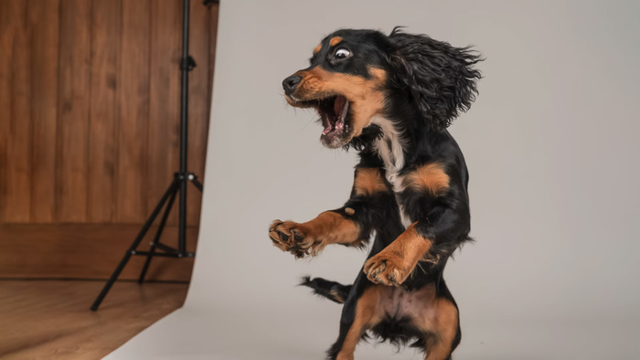 How To Photograph Action in Studio