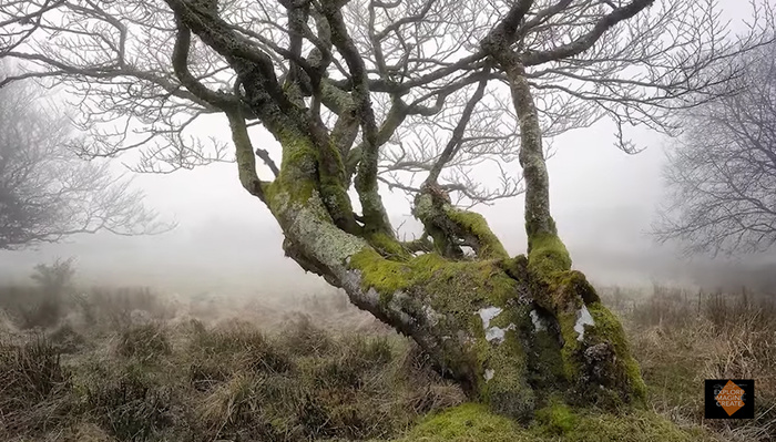 How to Use Exposure Bracketing and Focus Stacking for Better Landscape Photos