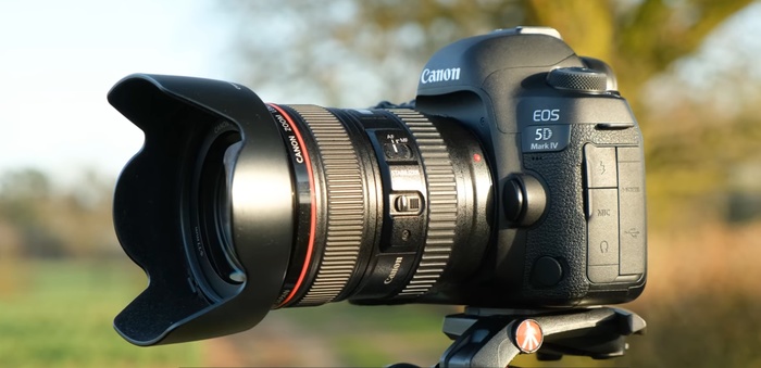 Lens Hoods: Do You Actually Need Them?