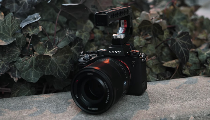 The Sony a1: How Good Is This Mirrorless Flagship Camera for Video?