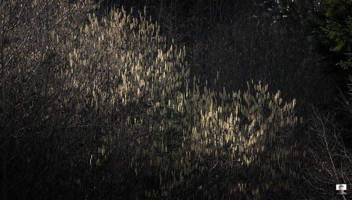 Using a 70-200mm Lens for Landscape Photography