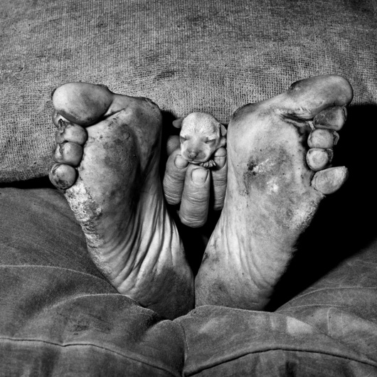 Ballenesque: Roger Ballen's Signature Aesthetic Across Five Decades Photography