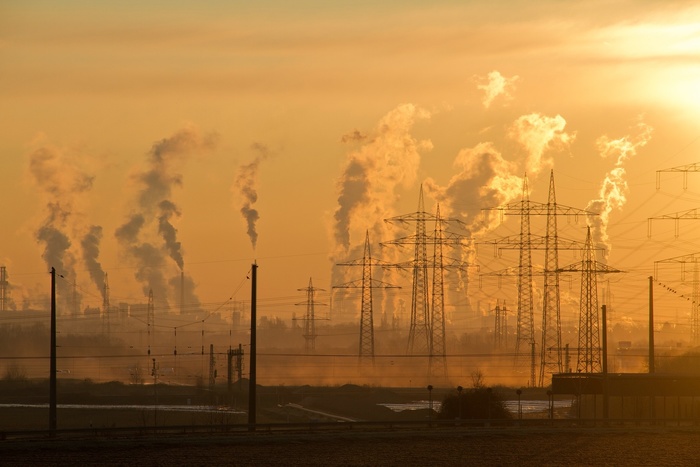NFTs Are Causing a Global Ecological Disaster, I'm Not Exaggerating.