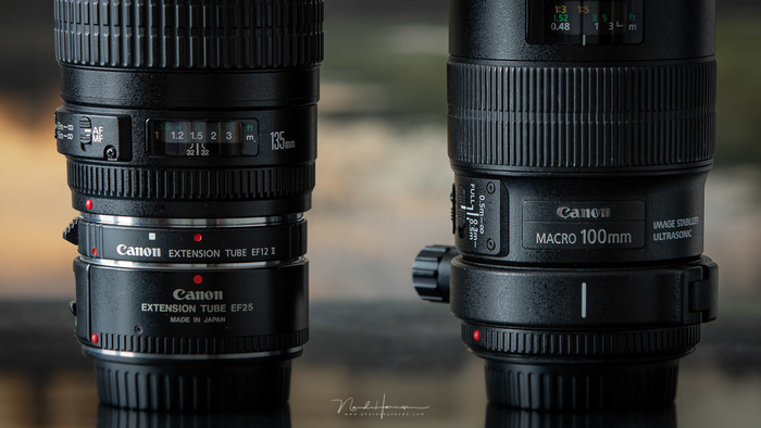 Which Is the Better Choice, A Macro Lens or Extension Tubes?